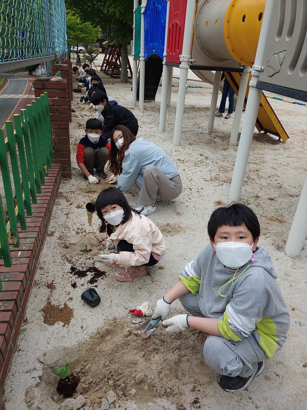 화개초왕성분교, 흙에서 생태감수성을 기르는 초록향기 학교 텃밭 가꾸기 - 관련이미지3