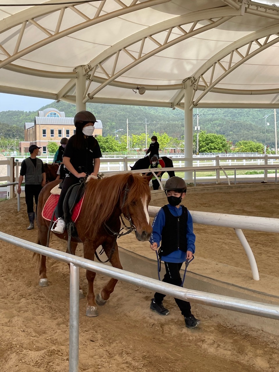 <창선초> 말과 교감하는 승마체험 교실 운영 - 관련이미지2