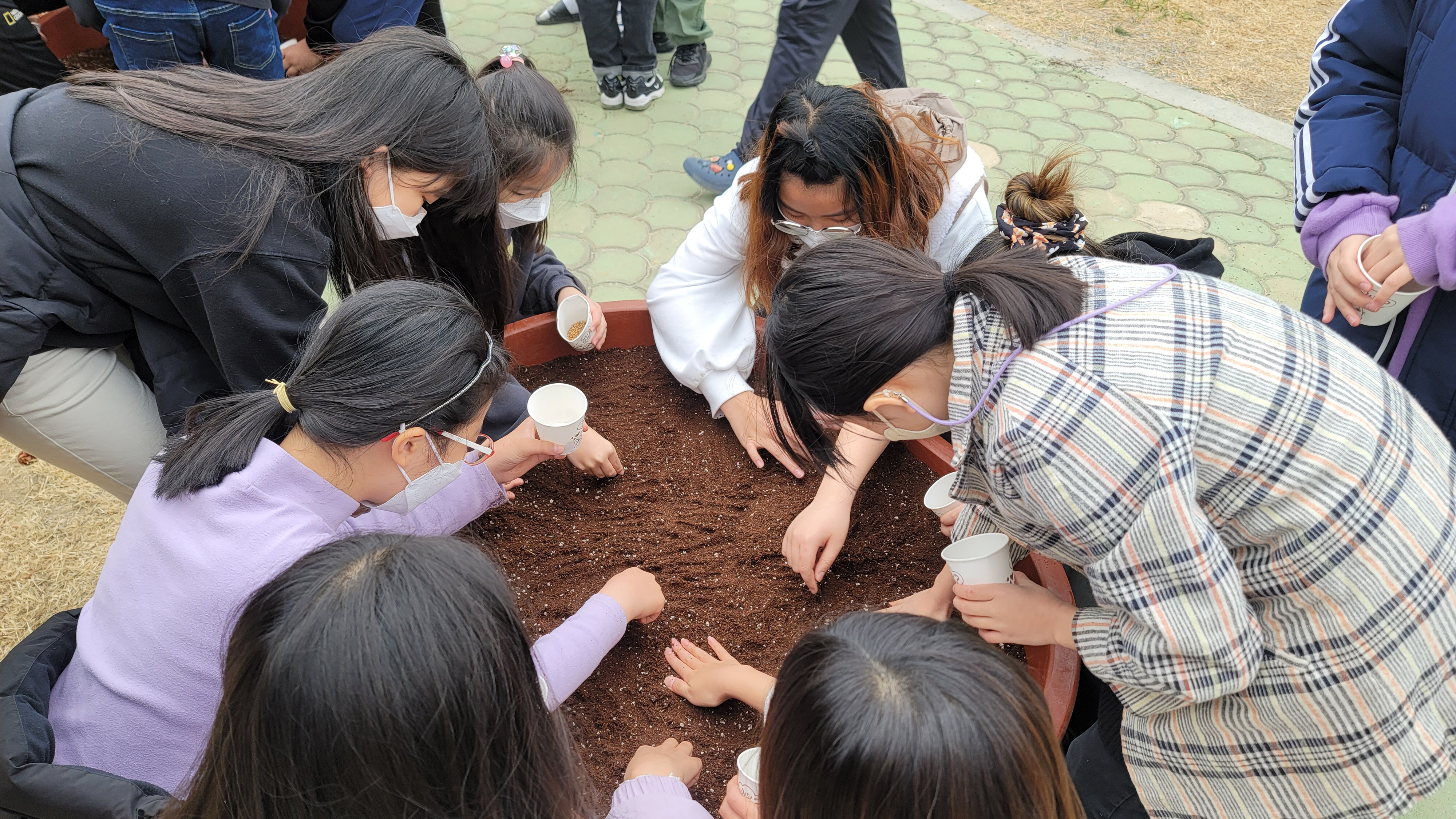 벽방초등학교“우리밀 프로젝트”로 우리밀의 소중함을 알려요~! - 관련이미지2