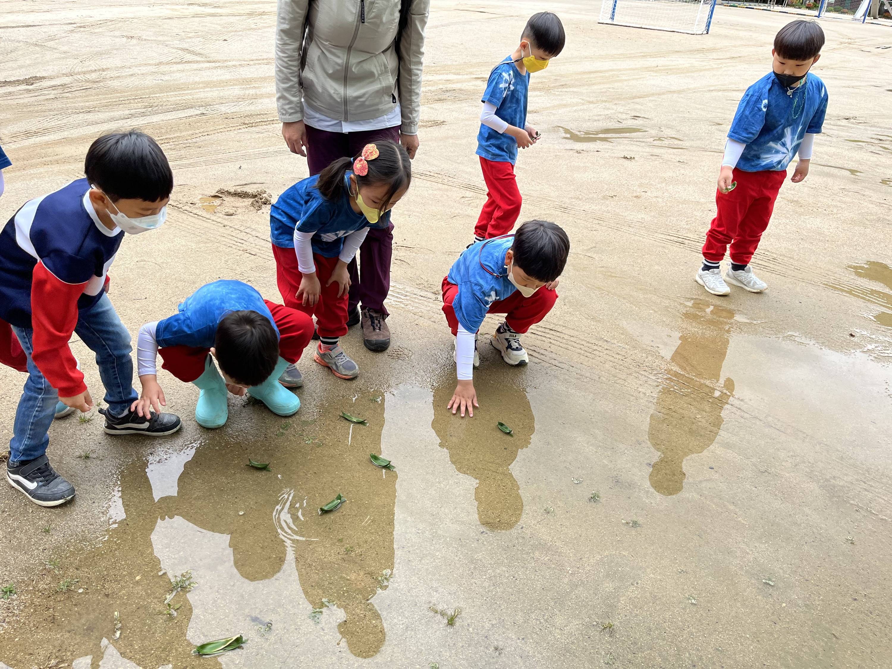 화개병설유, 왕성분교장병설유 -왕성분교장병설유치원에서 생태체험을 하다!- - 관련이미지2
