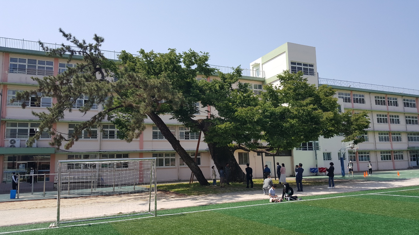 “우리 학교 나무 잘 키우고 지키겠습니다”(재정과 손병도 ☎268-1482) - 관련이미지2