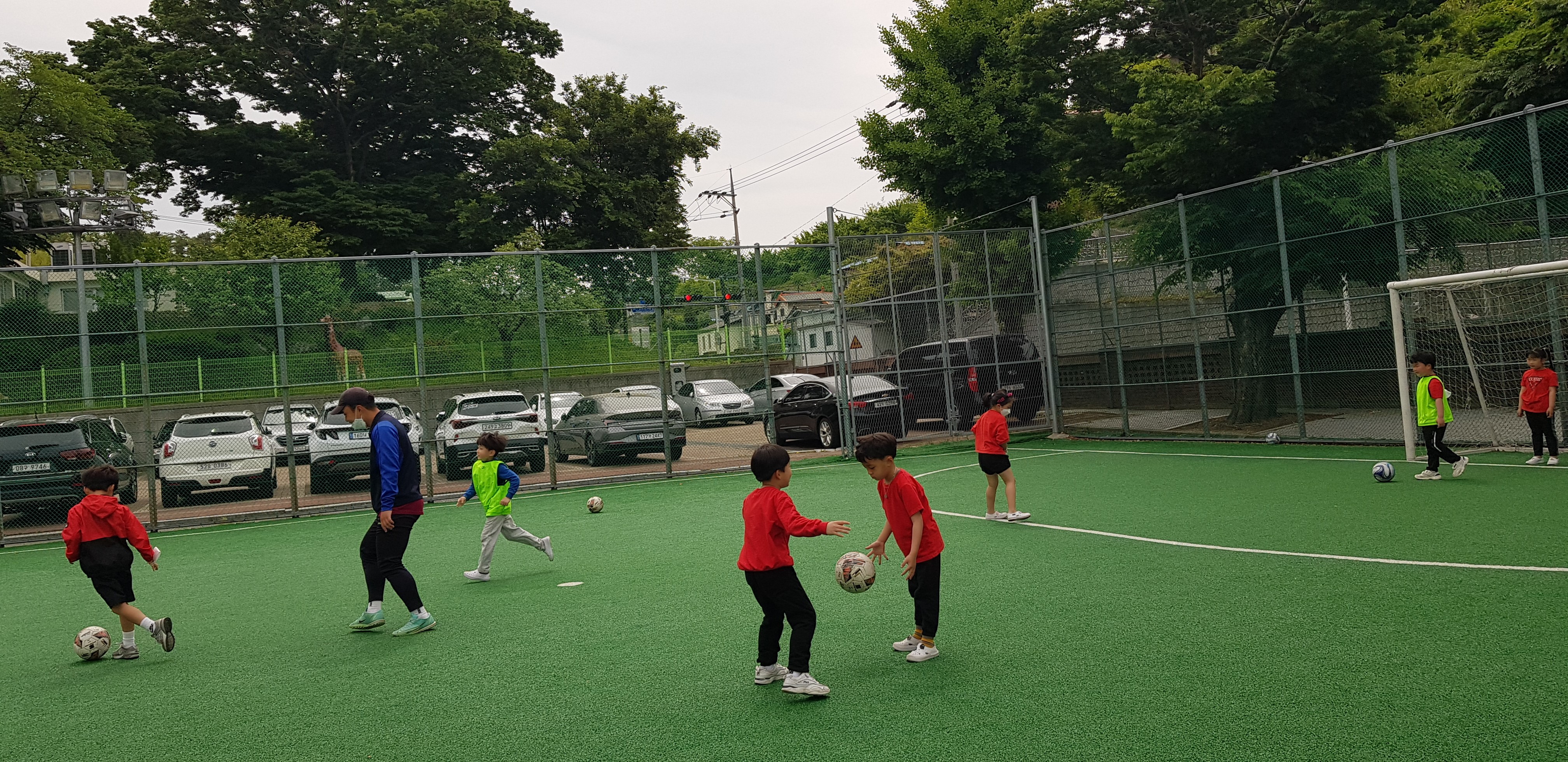 봉래초, 축구 꿈나무 육성으로 축구 명가 계승 - 관련이미지1