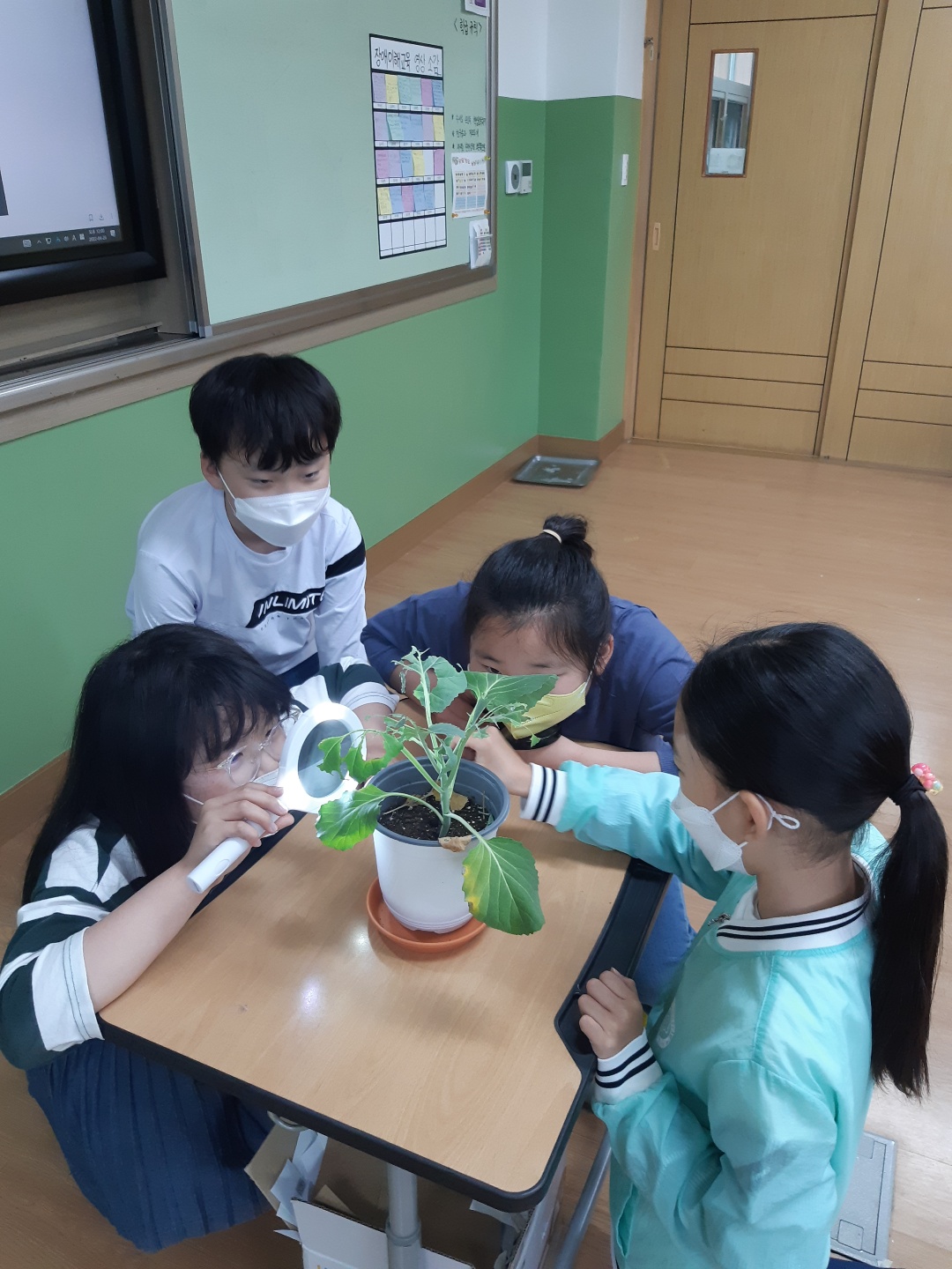 서진초, 3학년 우리들의 유쾌한 동물이야기 - 관련이미지2