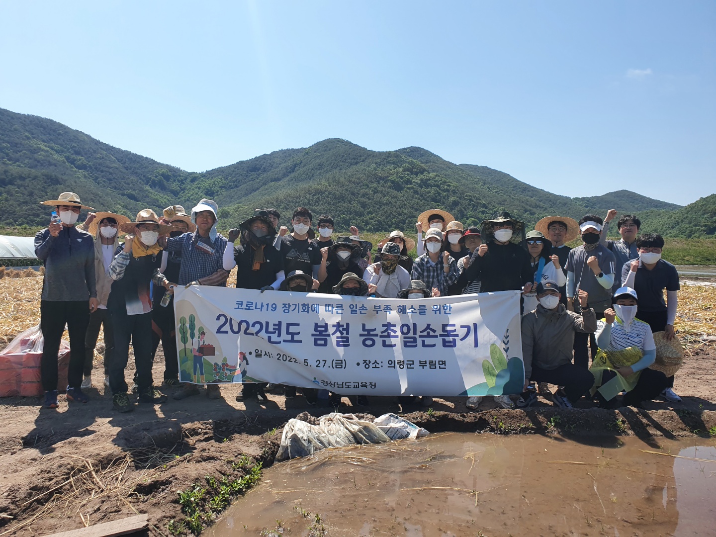 경남교육청, 의령 마늘 농가서 일손 도와(총무과 김만길 ☎268-1321 또는 고영삼 ☎268-1323) - 관련이미지1