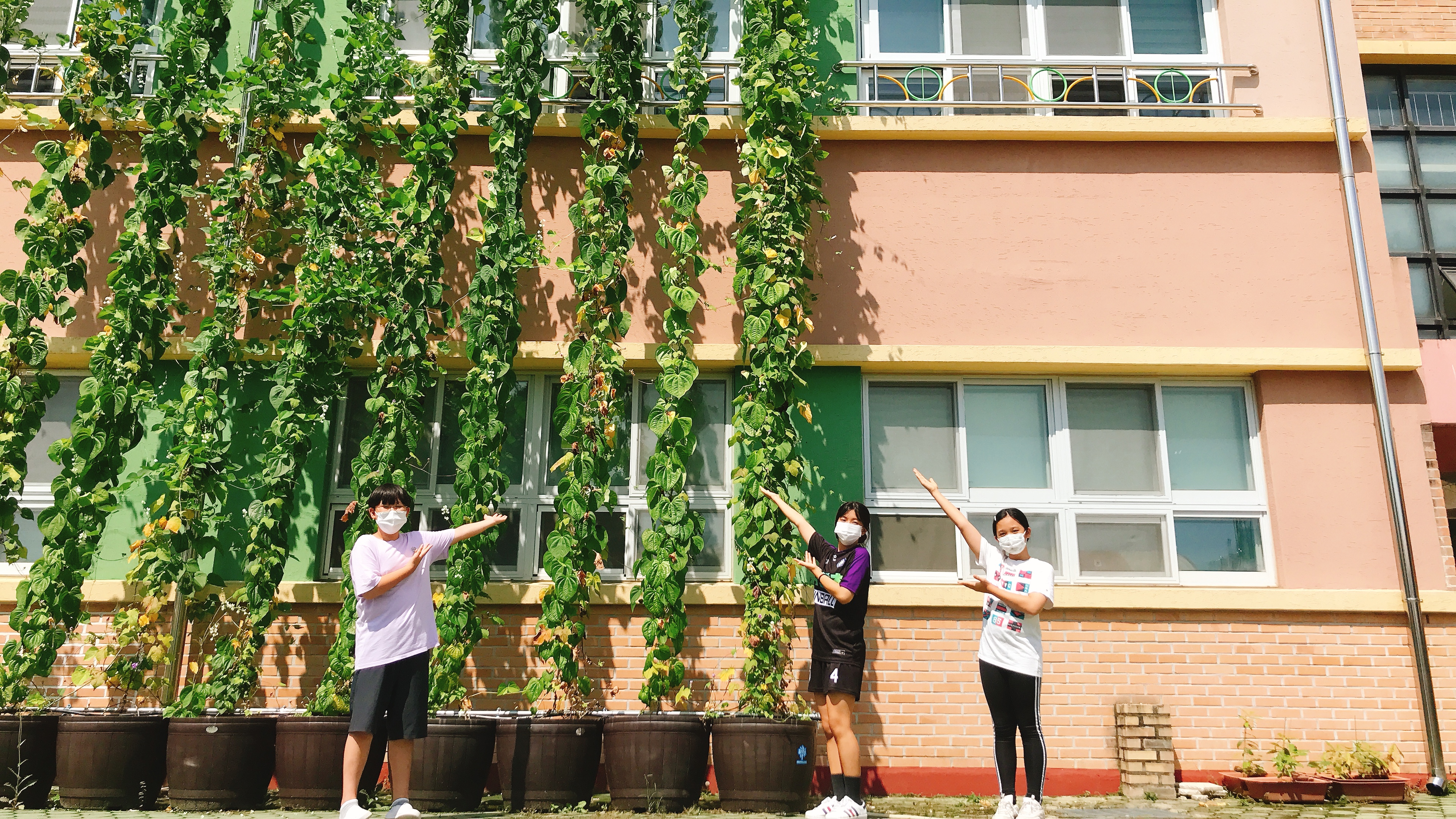 통영 벽방초 GCO 환경동아리 각종 과학대회 입상 - 관련이미지1