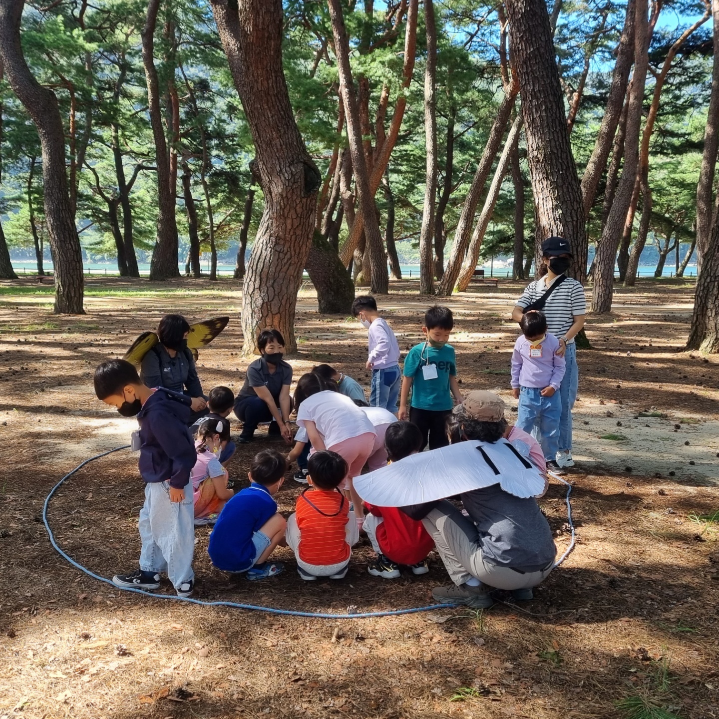 하동유치원, “솔~솔 피어나는 어린 꿈!” - 관련이미지1