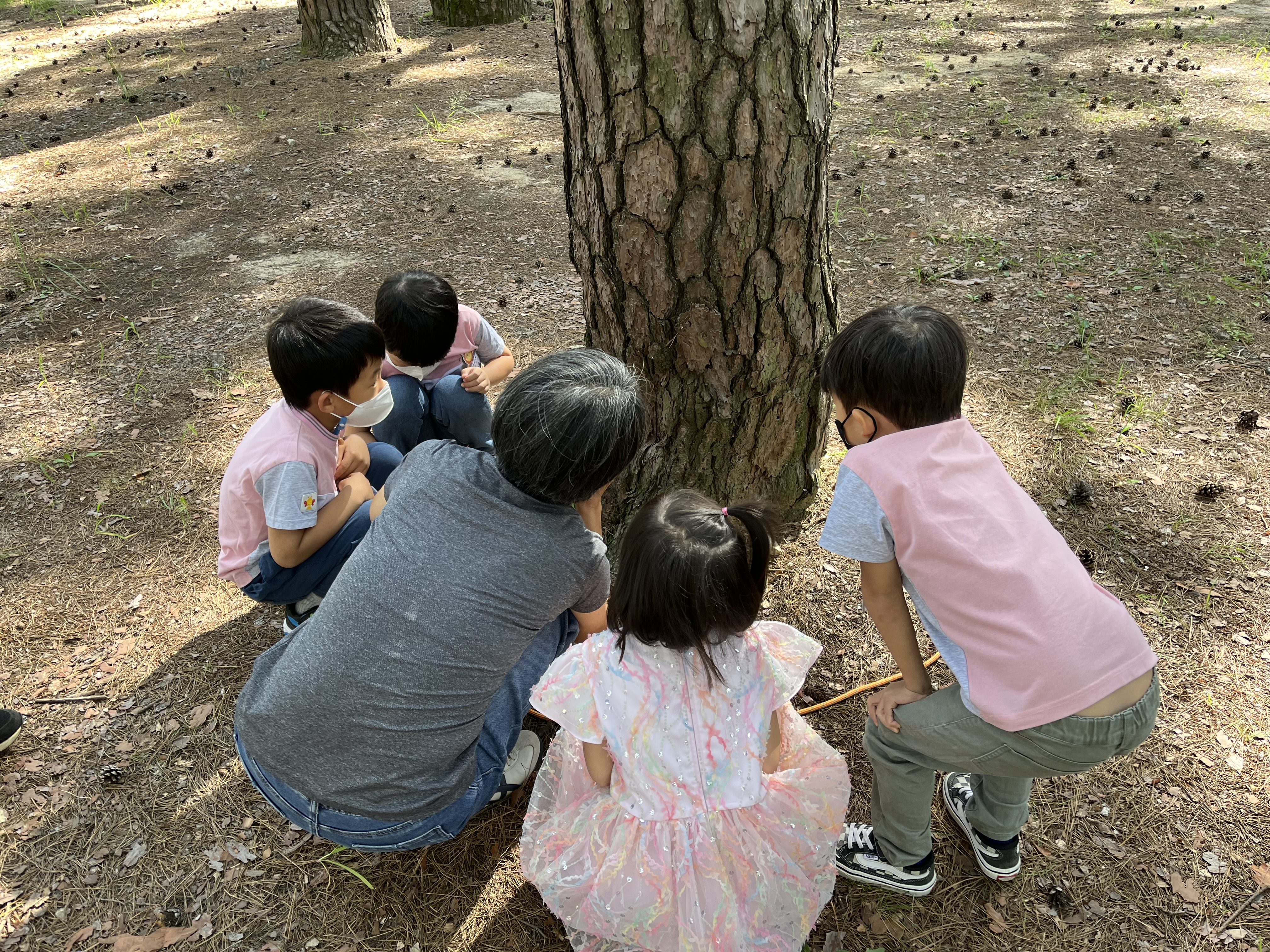 하동유치원, “솔~솔 피어나는 어린 꿈!” - 관련이미지4