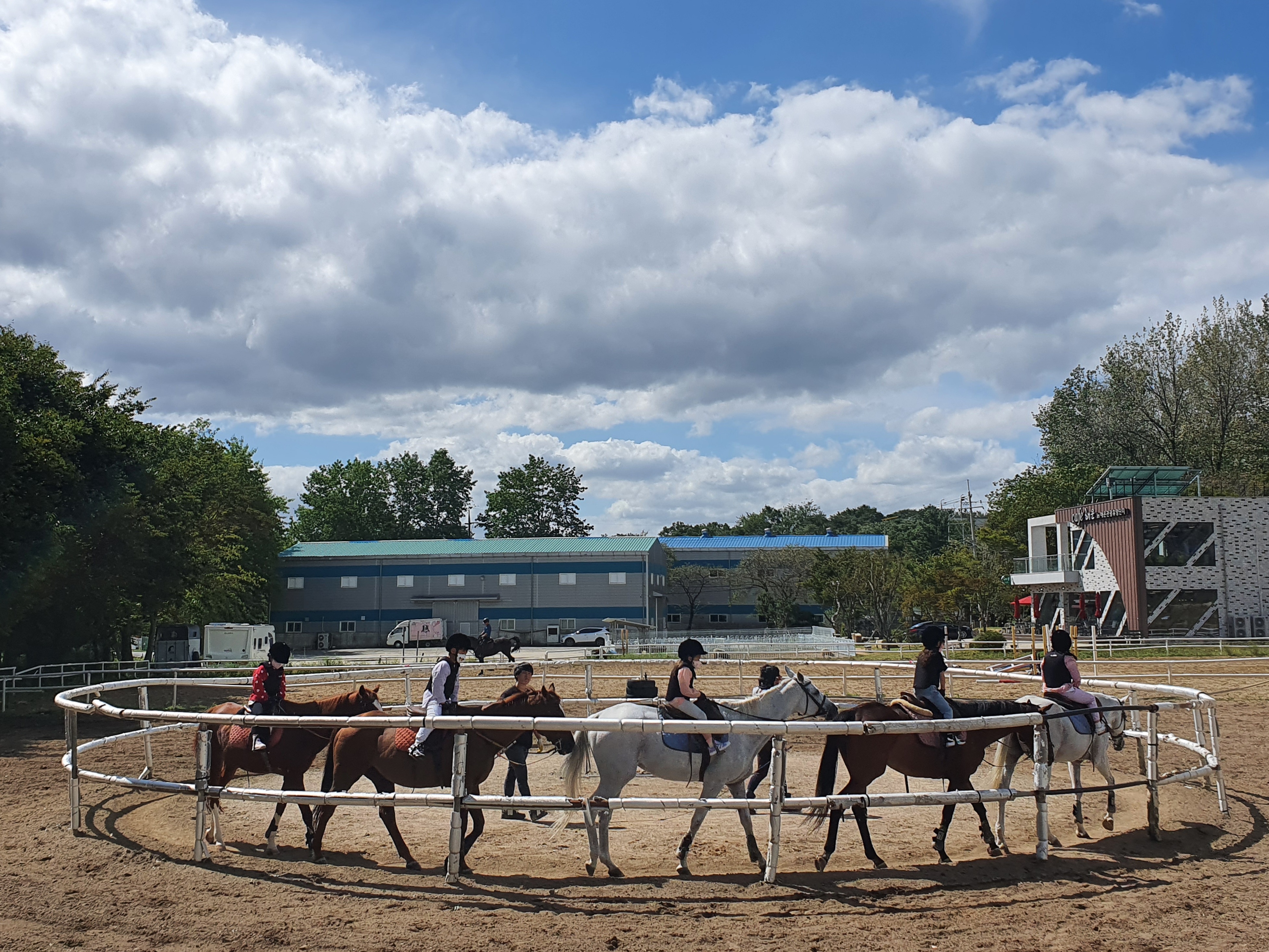 용연초, 승마로 건강도 챙기고 재미도 챙기고! - 관련이미지1