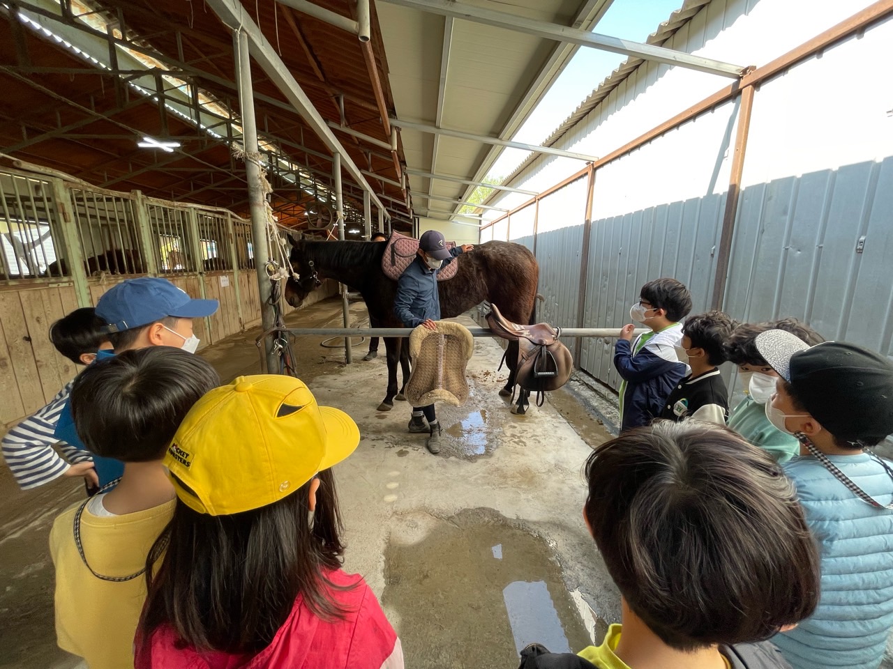 용연초, 승마로 건강도 챙기고 재미도 챙기고! - 관련이미지3