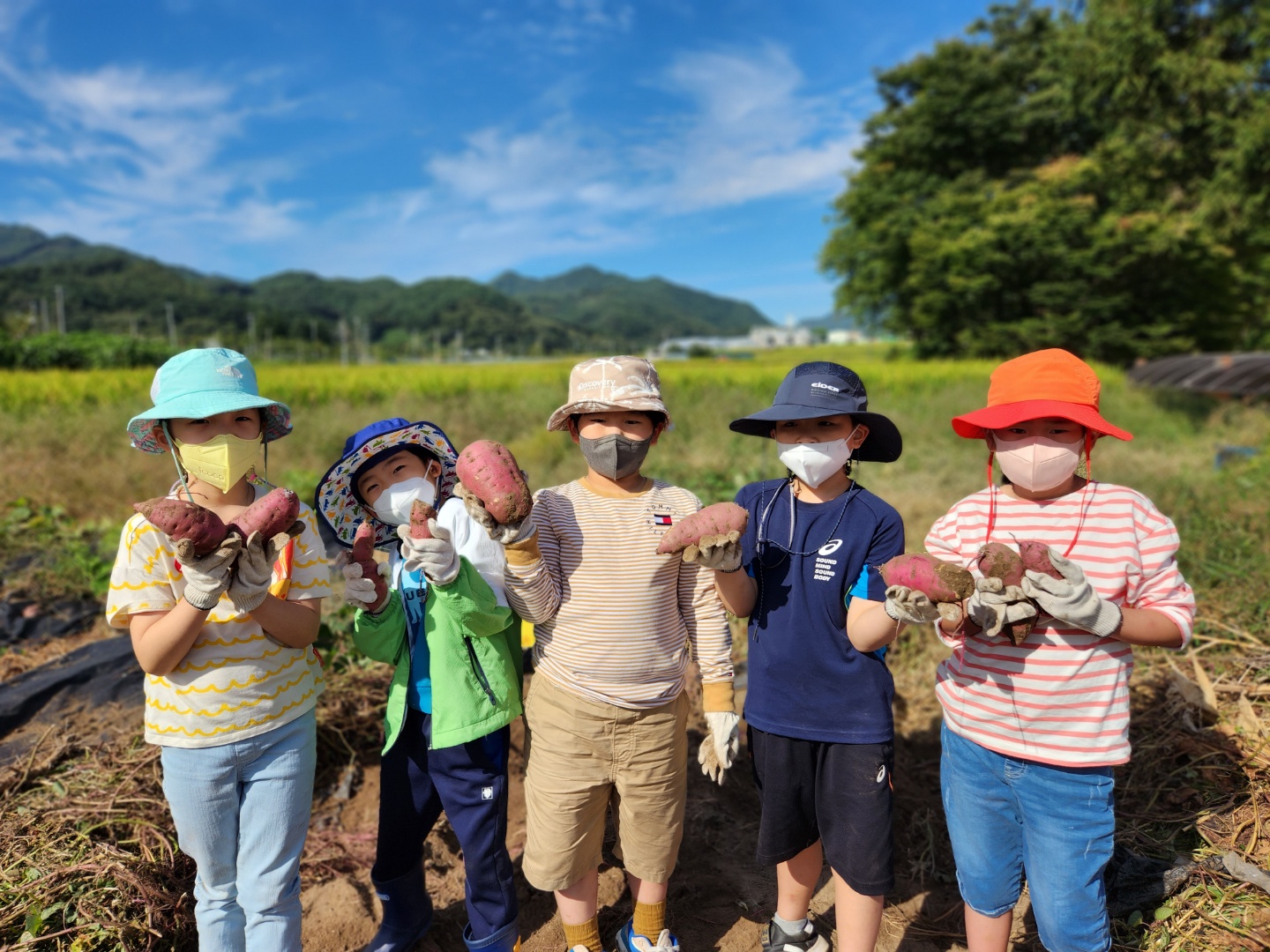 <병곡초> 가을의 맛을 오감으로 느껴요. - 관련이미지1