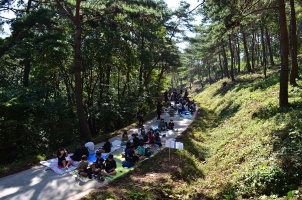 의령초, 2022. 숲교육학교 숲체험 숲 속에서 꿈을 찾다 - 관련이미지1