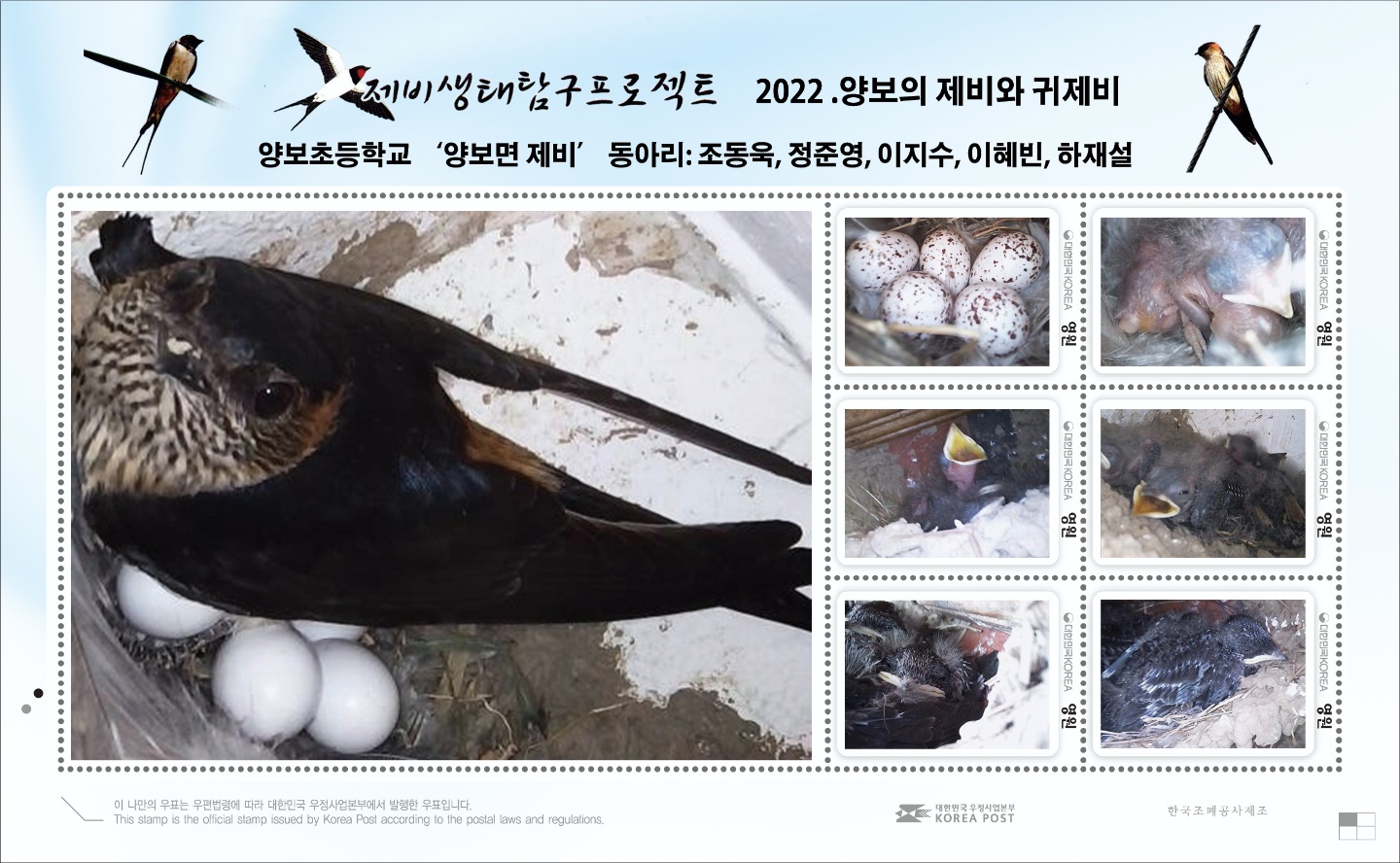 양보초, ‘양보면 제비’ 동아리 기념 우표 제작 - 관련이미지2