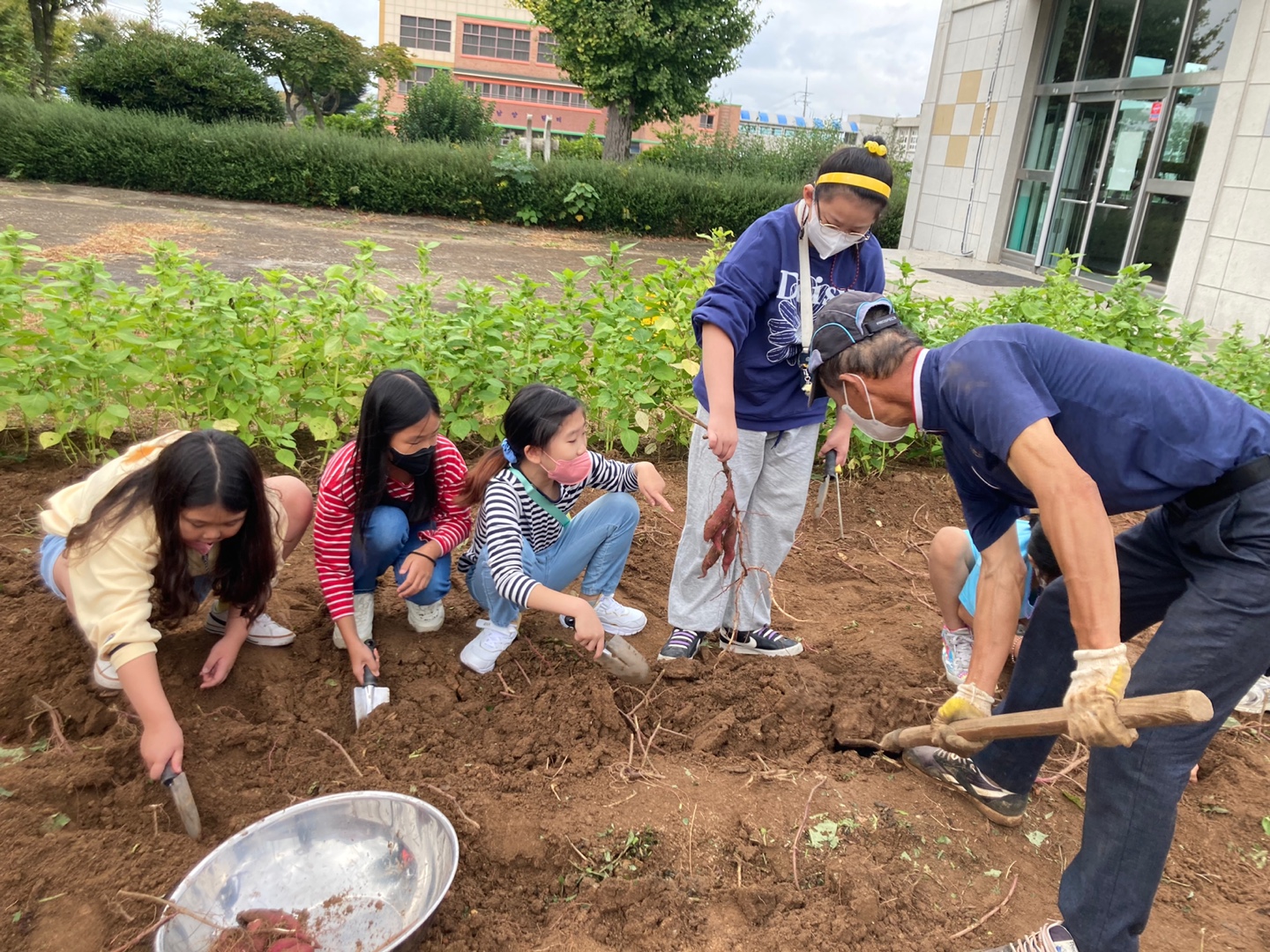 남양초, 땅속에서 꺼낸 행복한 보물 - 관련이미지1