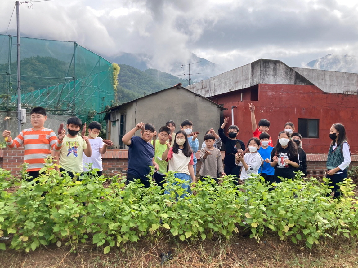 남양초, 땅속에서 꺼낸 행복한 보물 - 관련이미지2