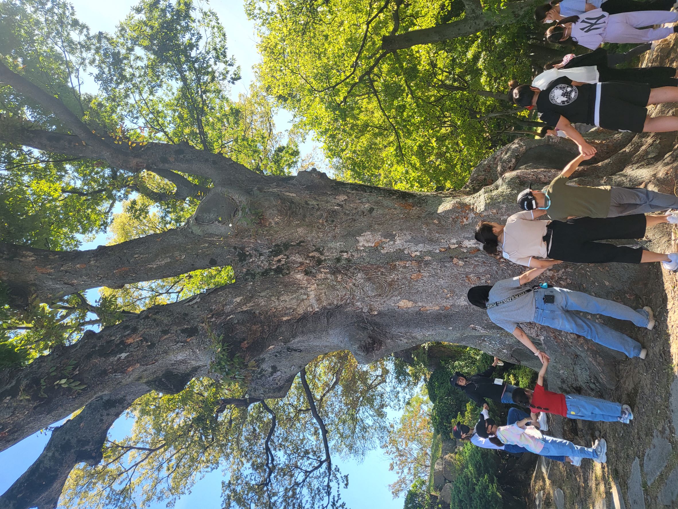 사천행복교육지구와 사천기후환경특구가 함께하는 ‘노거수가 들려주는 우리고장 이야기’가족체험활동 - 관련이미지2