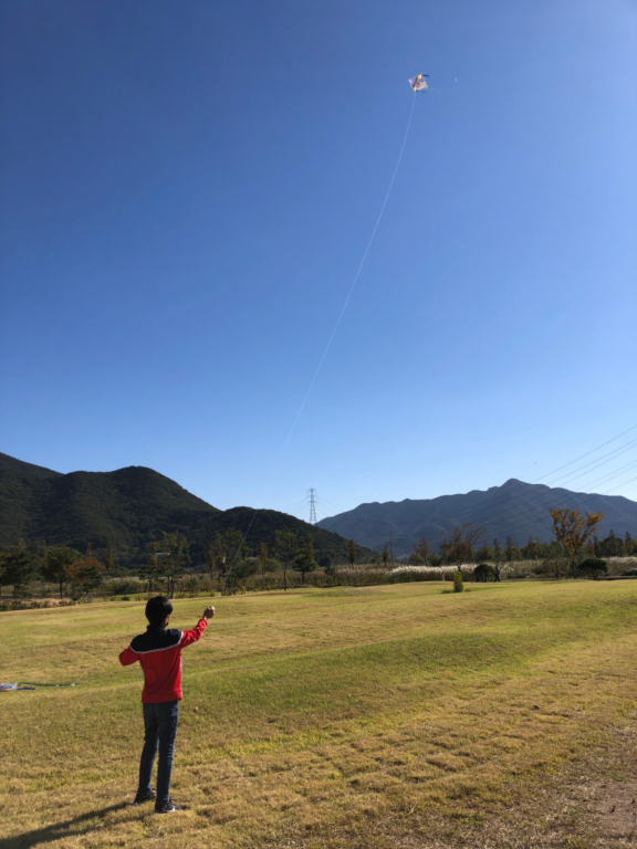용산 숲에서 행복을 외치다! 용산초등학교의 가을숲학교 - 관련이미지2