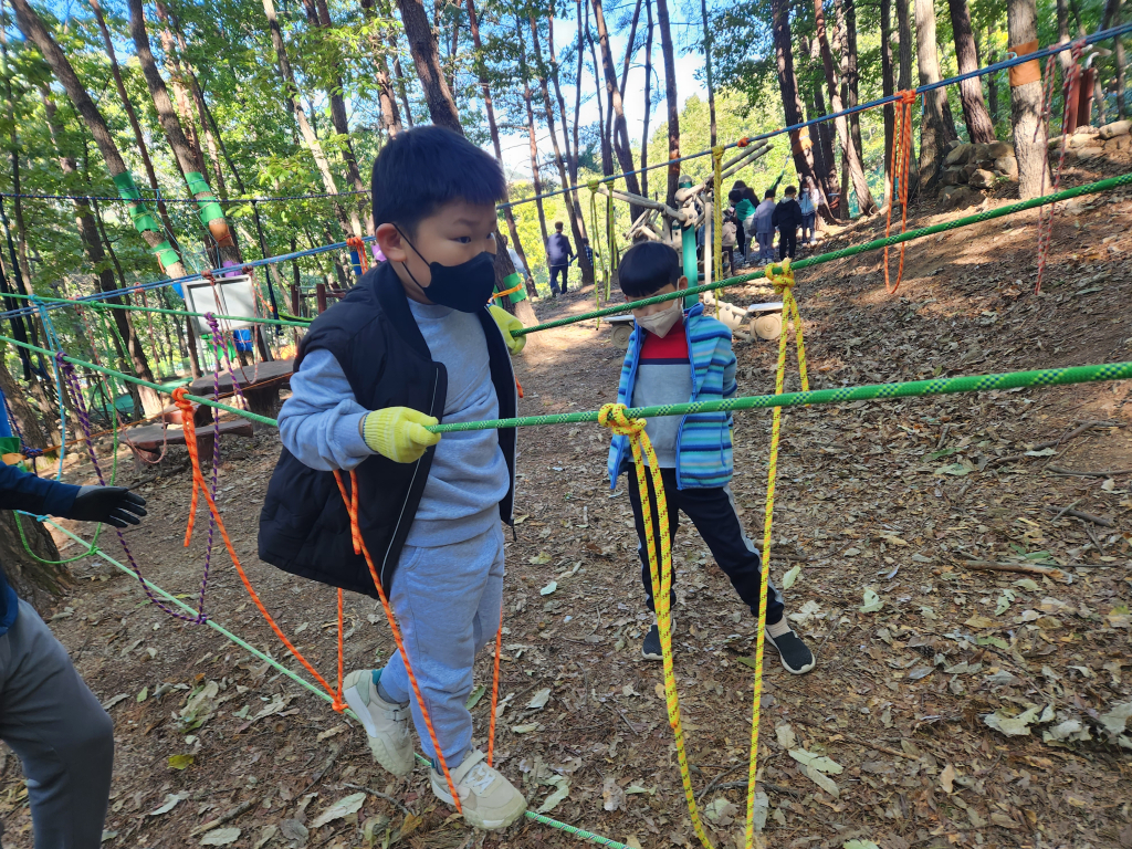 용산 숲에서 행복을 외치다! 용산초등학교의 가을숲학교 - 관련이미지4