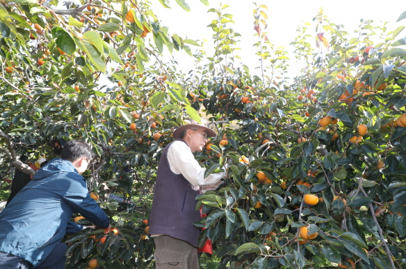 경남교육청, 농촌 일손 돕기 봉사활동 참여 - 관련이미지1
