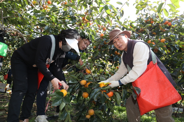 경남교육청, 농촌 일손 돕기 봉사활동 참여 - 관련이미지2