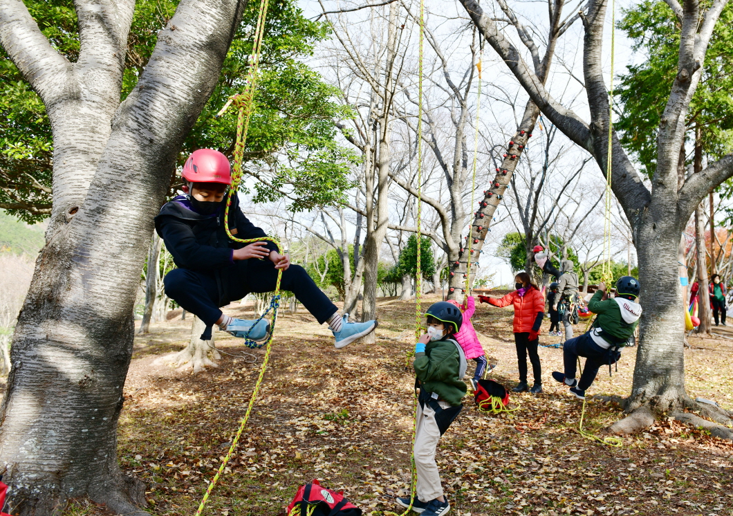 사천대방초, 숲에서 어울리GO! 도전하GO! 놀면서 배워요! - 관련이미지1
