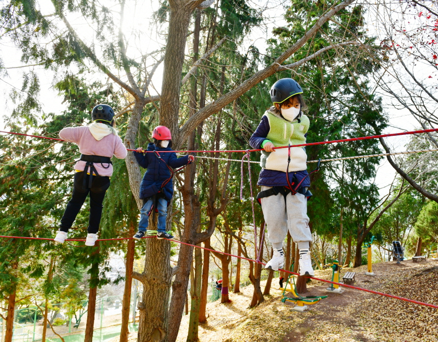 사천대방초, 숲에서 어울리GO! 도전하GO! 놀면서 배워요! - 관련이미지3