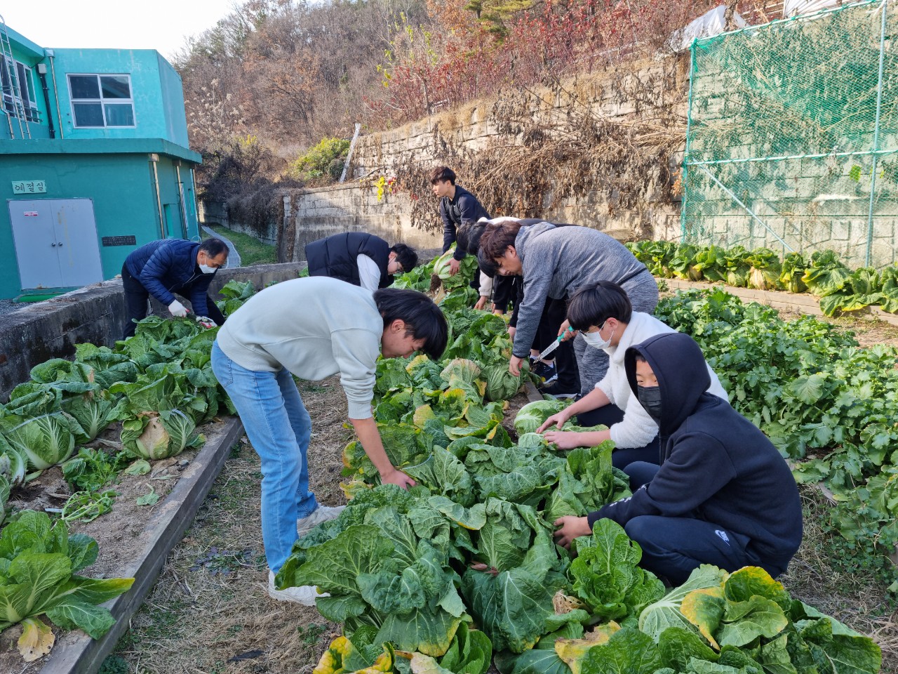 칠북분원 아름다운 교육마을공동체를 위한 사랑의 김치나눔봉사활동 - 관련이미지1