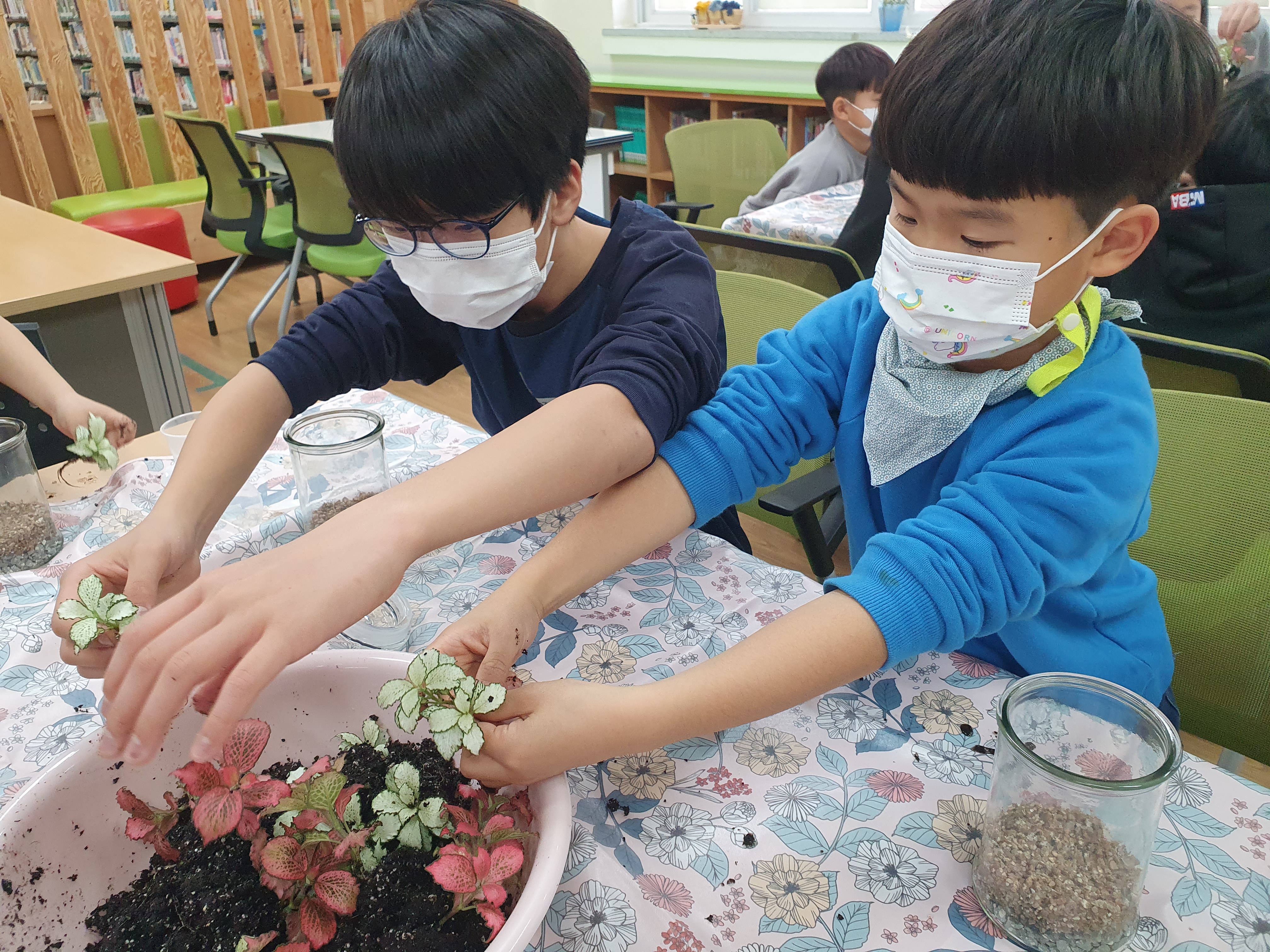 용연초, 테라리움 만들며 생태를 배우다. - 관련이미지1