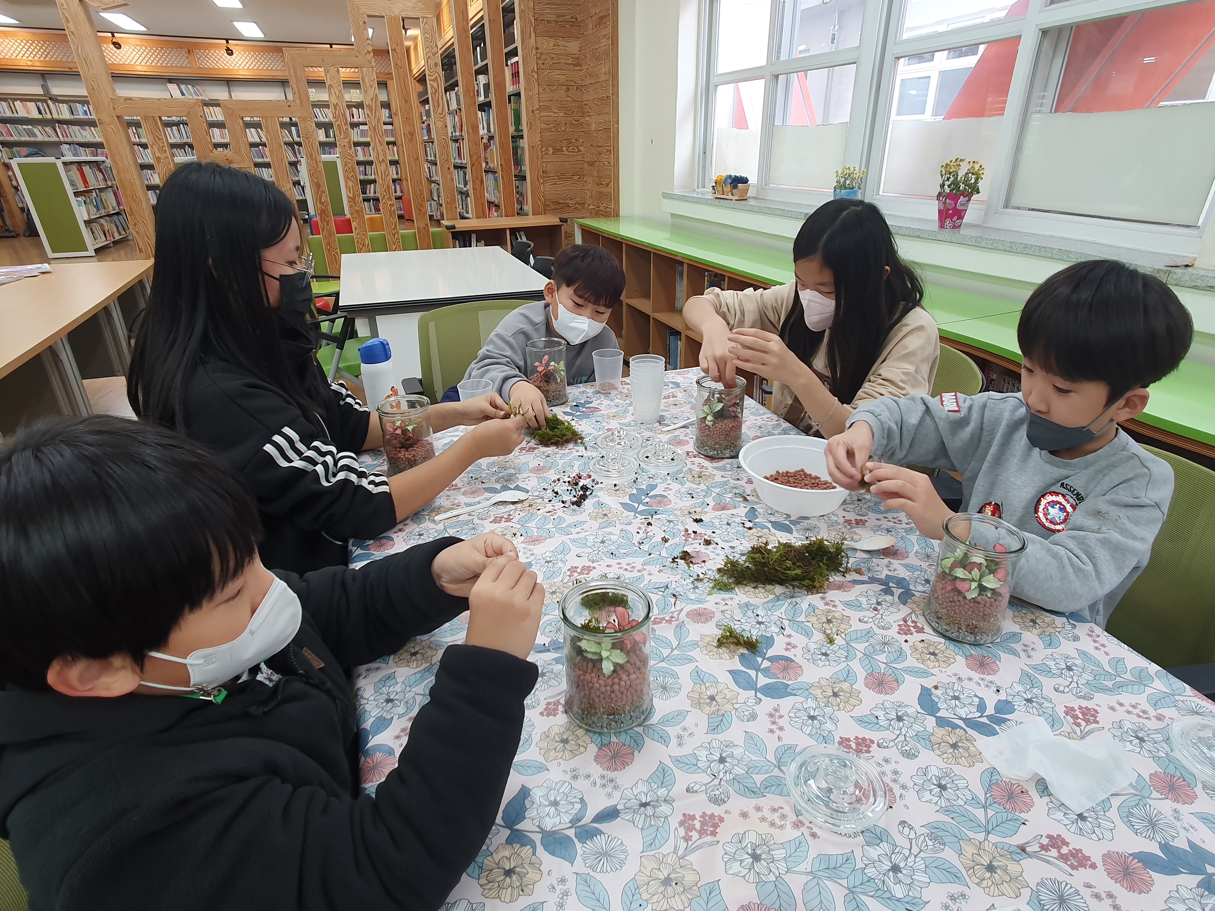 용연초, 테라리움 만들며 생태를 배우다. - 관련이미지2