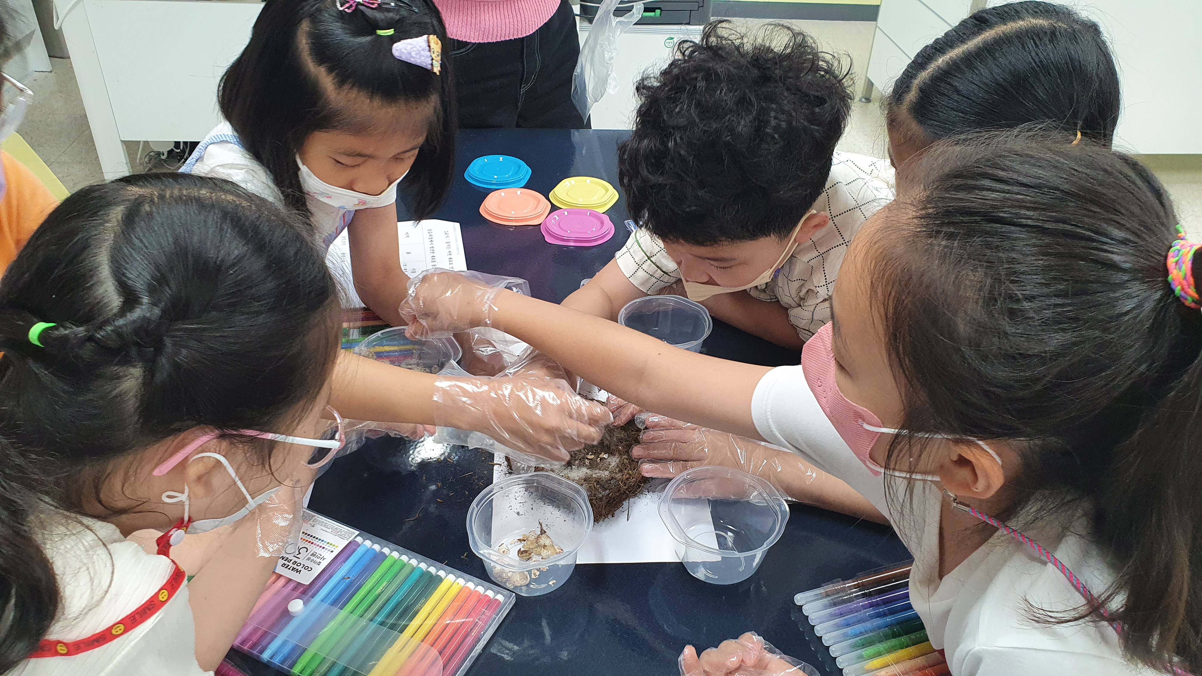 합천가야초, 환경부 환경동아리 3년 연속 우수 환경동아리 선정 - 관련이미지2