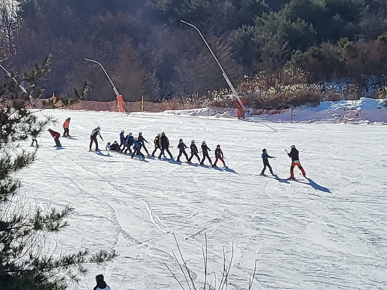 서하초, 겨울 스포츠도 거뜬! - 동계 스키캠프 실시 - - 관련이미지2
