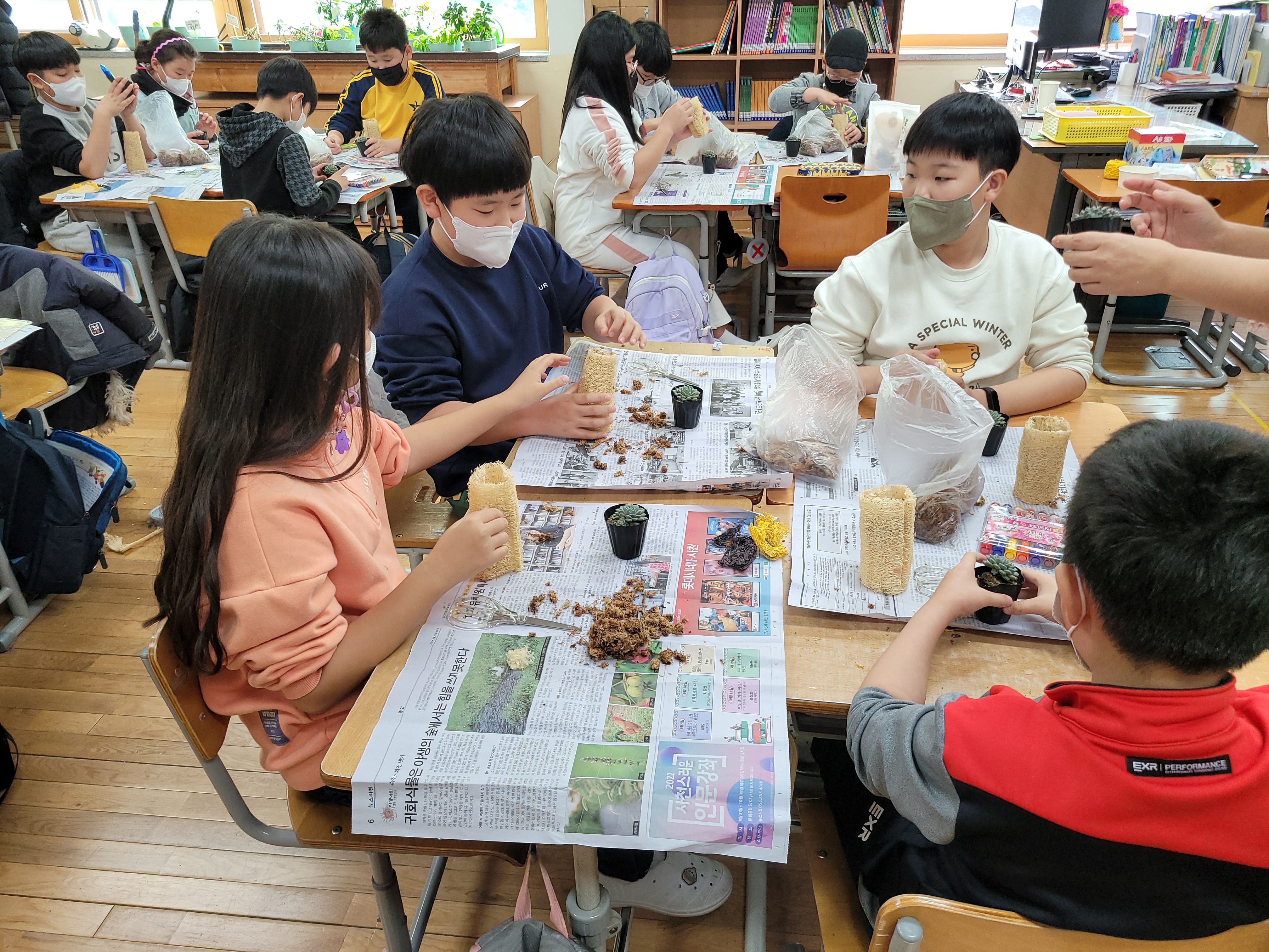 축동초, 천연수세미로 나만의 토피어리 만들기 - 관련이미지1