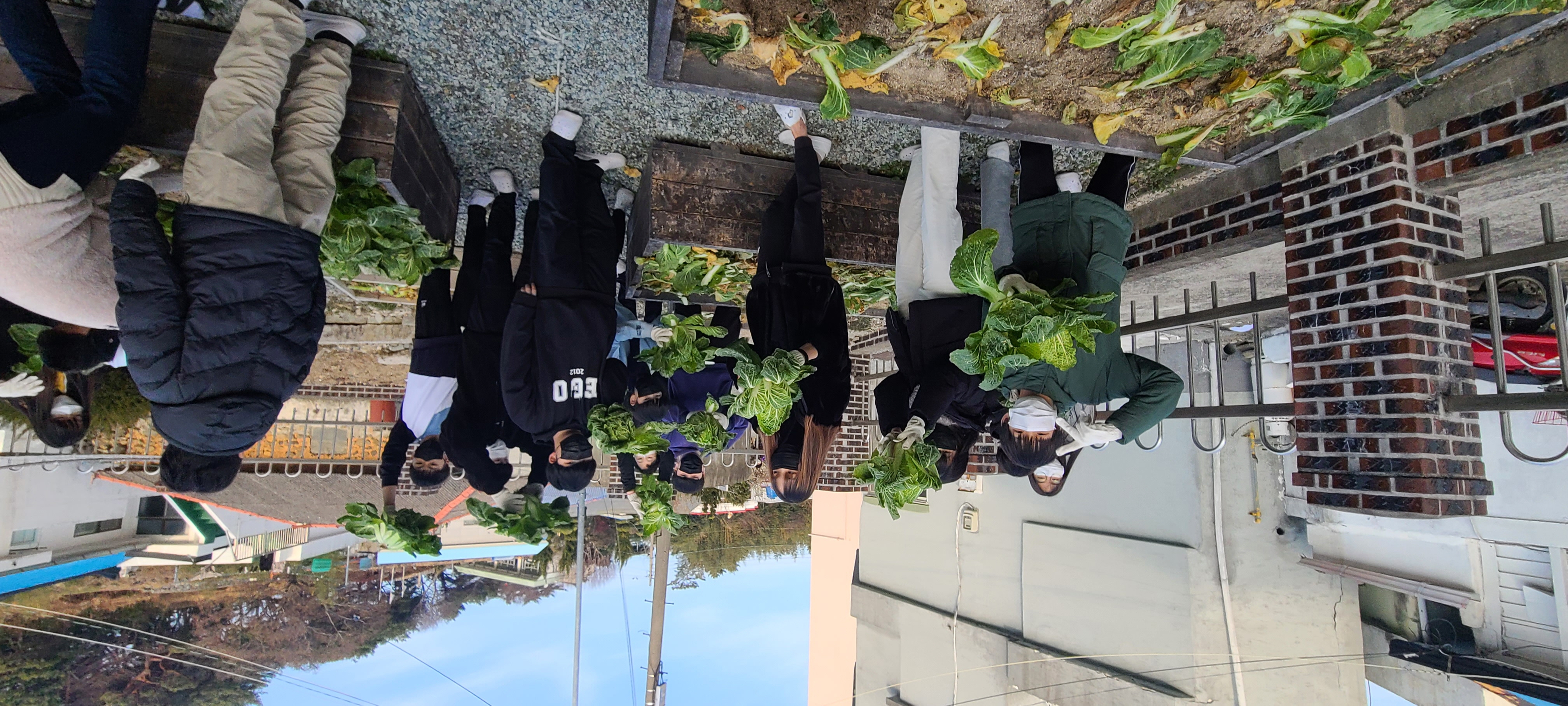 거제초학생자치회, 텃밭 수확 작물(배추) 복지시설 반야원에 기부 - 관련이미지13