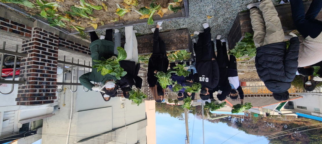 거제초학생자치회, 텃밭 수확 작물(배추) 복지시설 반야원에 기부 - 관련이미지17