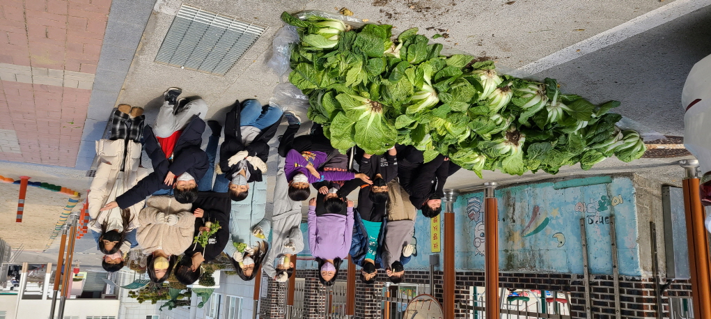 거제초학생자치회, 텃밭 수확 작물(배추) 복지시설 반야원에 기부 - 관련이미지18