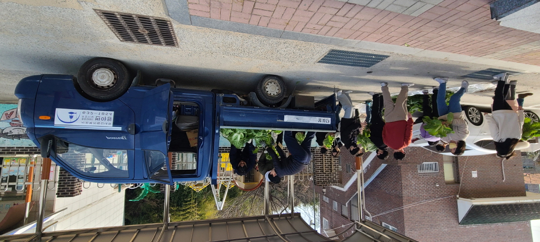 거제초학생자치회, 텃밭 수확 작물(배추) 복지시설 반야원에 기부 - 관련이미지19