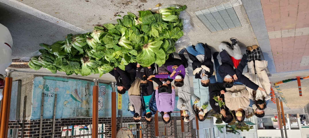 거제초학생자치회, 텃밭 수확 작물(배추) 복지시설 반야원에 기부 - 관련이미지21