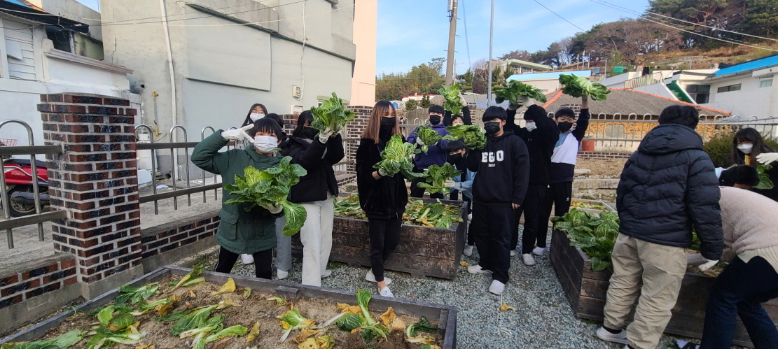 거제초학생자치회, 텃밭 수확 작물(배추) 복지시설 반야원에 기부 - 관련이미지23