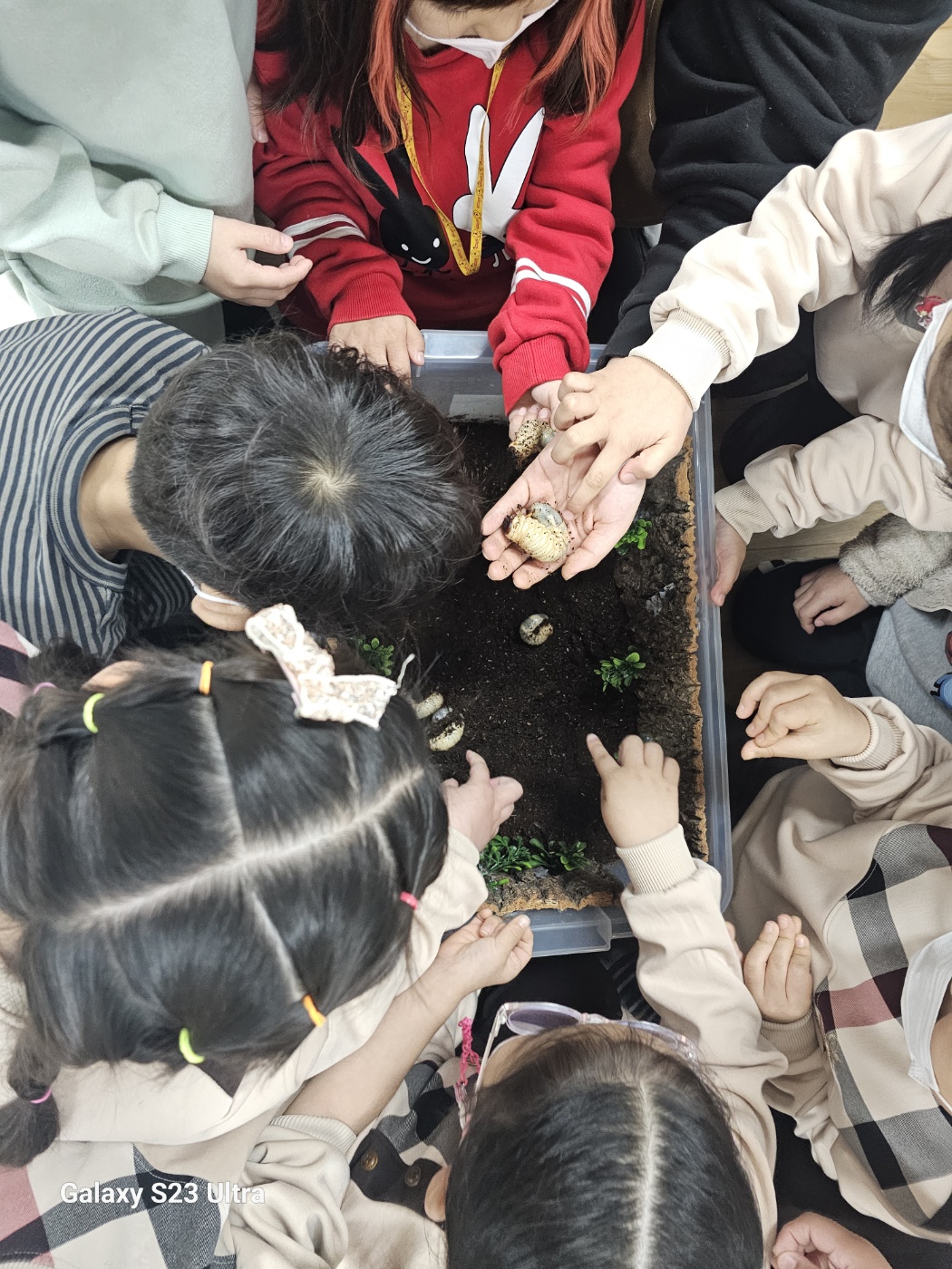 진해신항초등학교병설유치원, 자연과 교감해요 - 관련이미지3