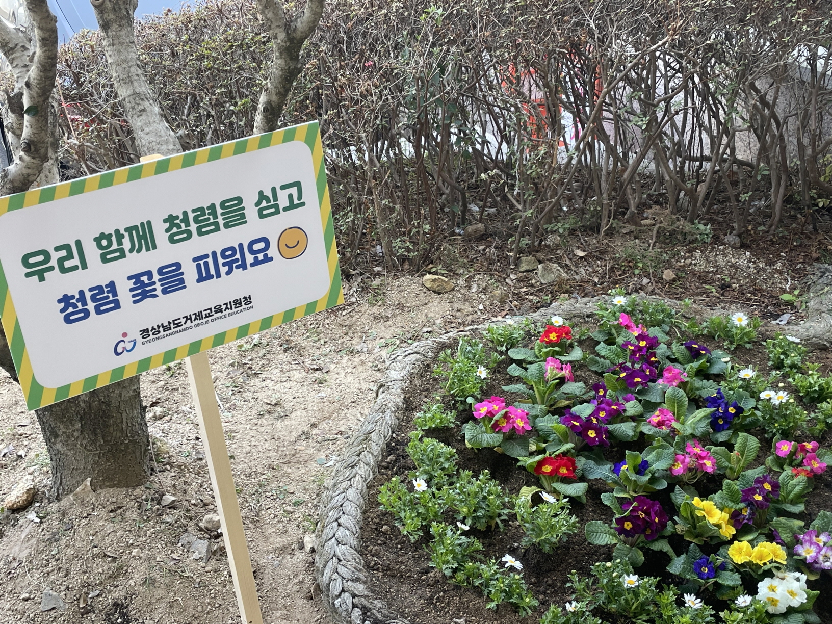 거제교육지원청,「청렴 꽃을 피워요」청렴 실천 행사 실시 - 관련이미지4