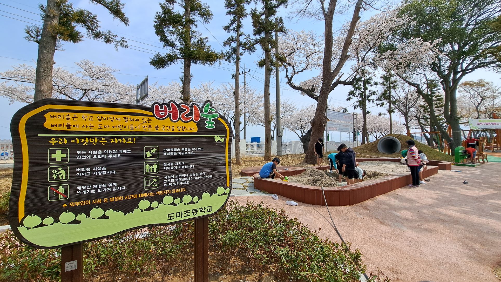도마초, 모두가 함께 만들고 누리는 버리숲 - 관련이미지2