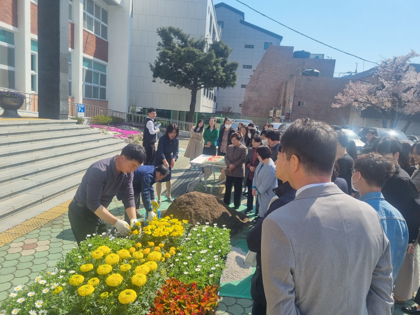 남해교육지원청, 식목일 맞이 청렴 화단 조성 및 화분 나누기 행사 실시 - 관련이미지2