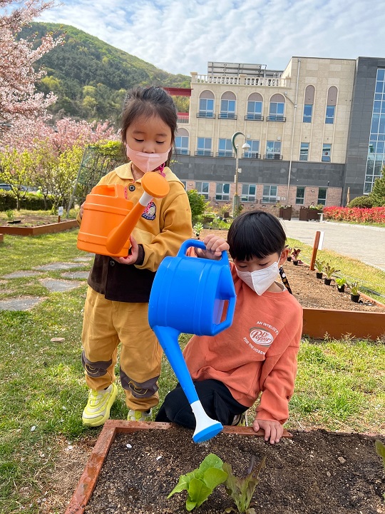 김해 단설 장유유치원, 생태 감수성을 키우는 텃밭 가꾸기 - 관련이미지2