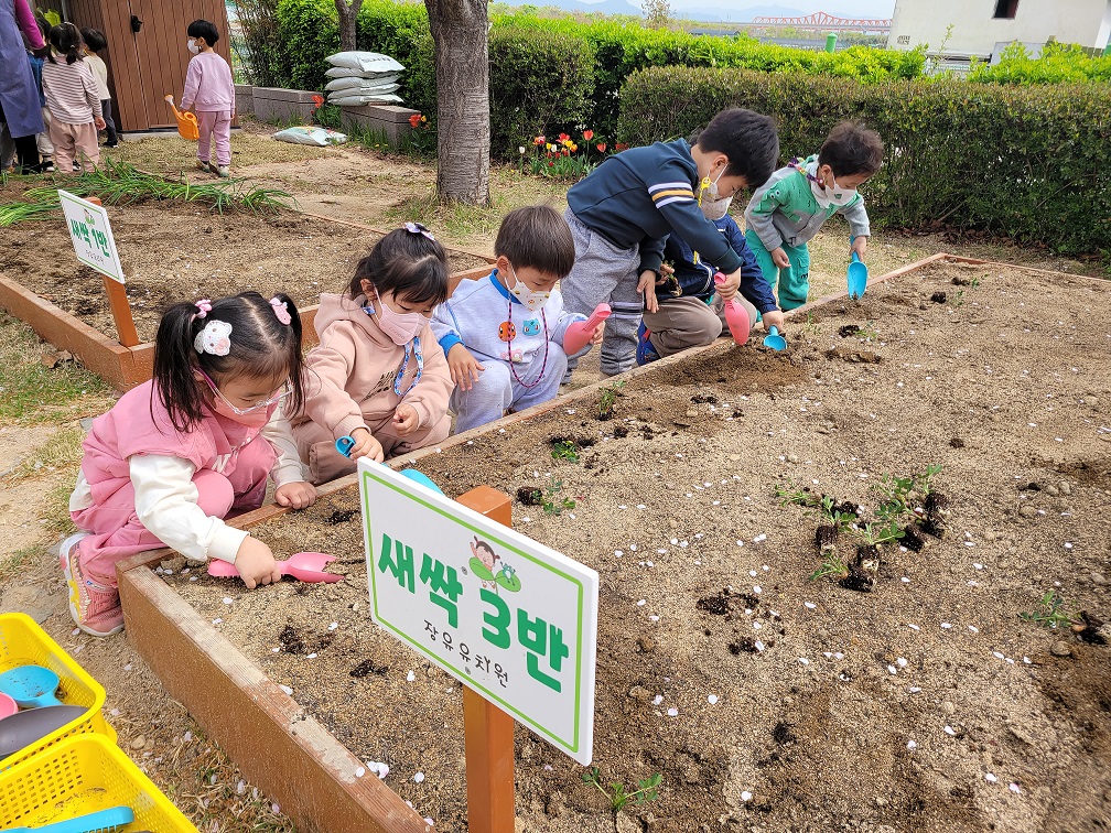 김해 단설 장유유치원, 생태 감수성을 키우는 텃밭 가꾸기 - 관련이미지3