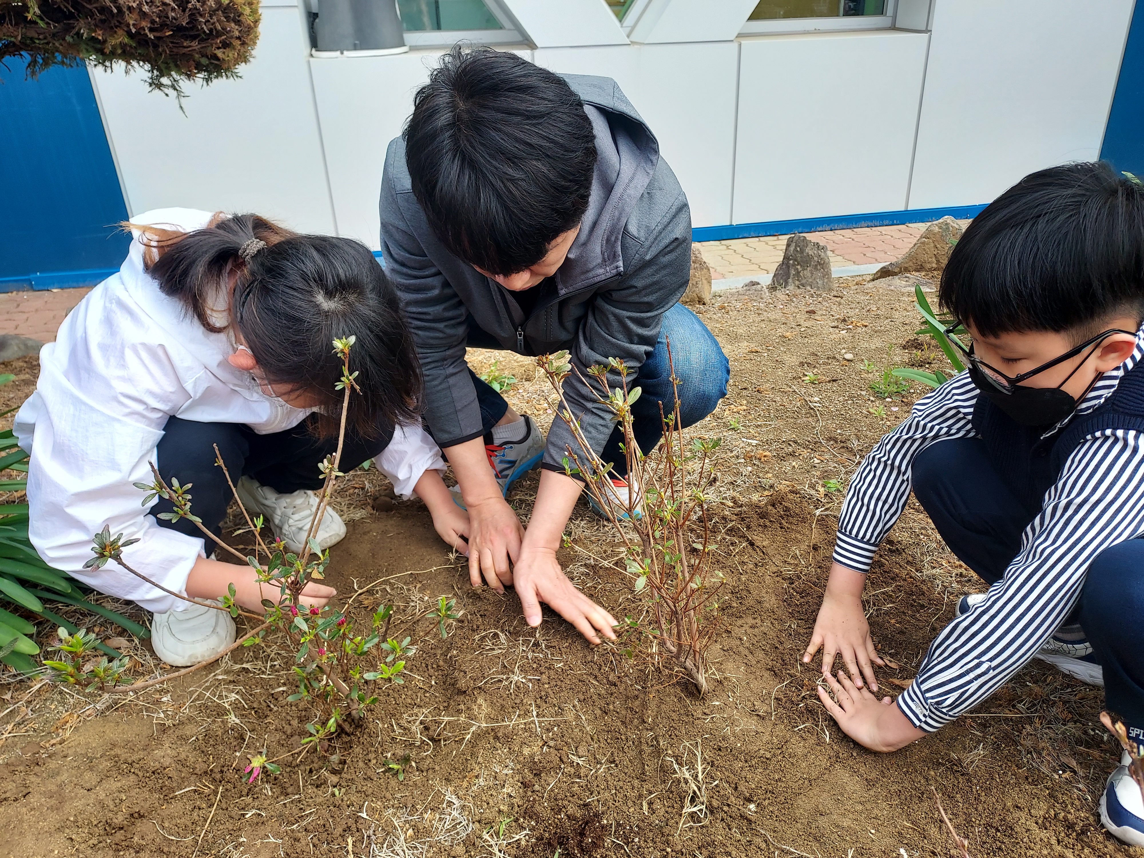 합천남정초등학교, 나무야! 우리 함께 잘 자라자! - 관련이미지1