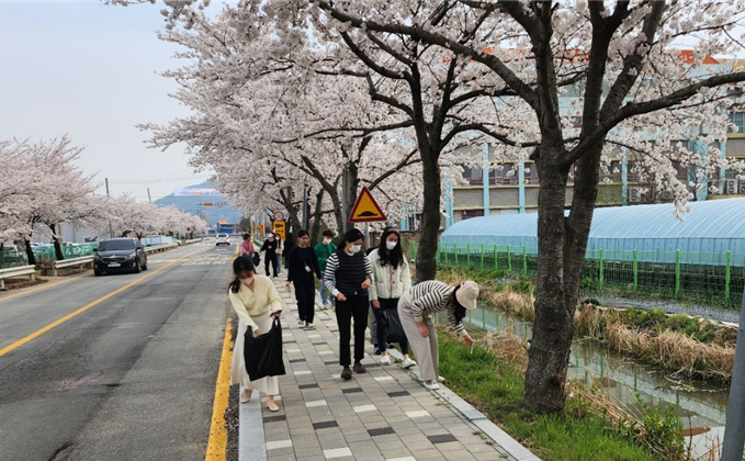 김해은혜학교, 청렴 꽃길‘같이 걷기, 가치 줍기’주간 챌린지 - 관련이미지2