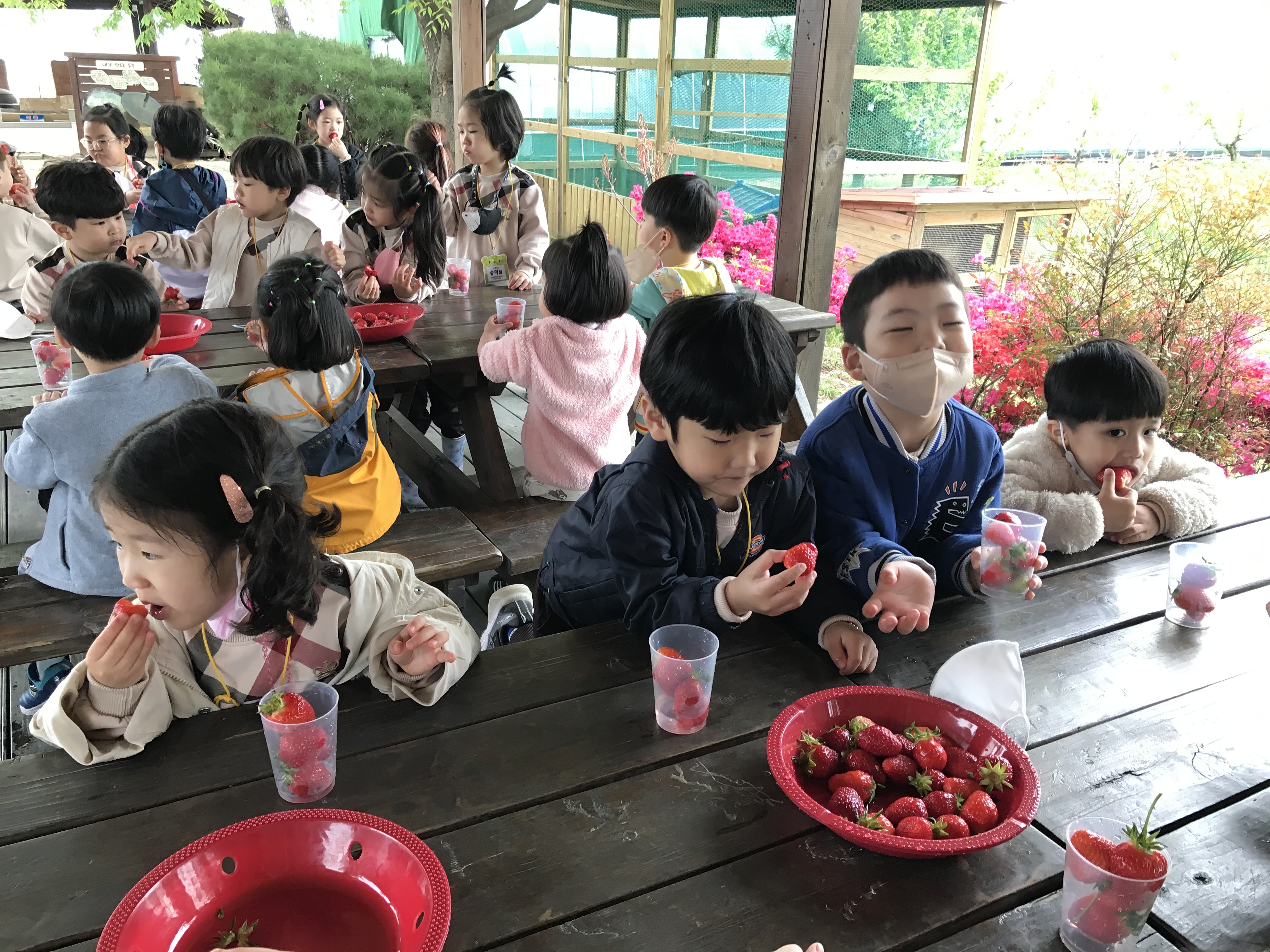 진해신항초등학교병설유치원, 수확의 즐거움을 느껴요. - 관련이미지2