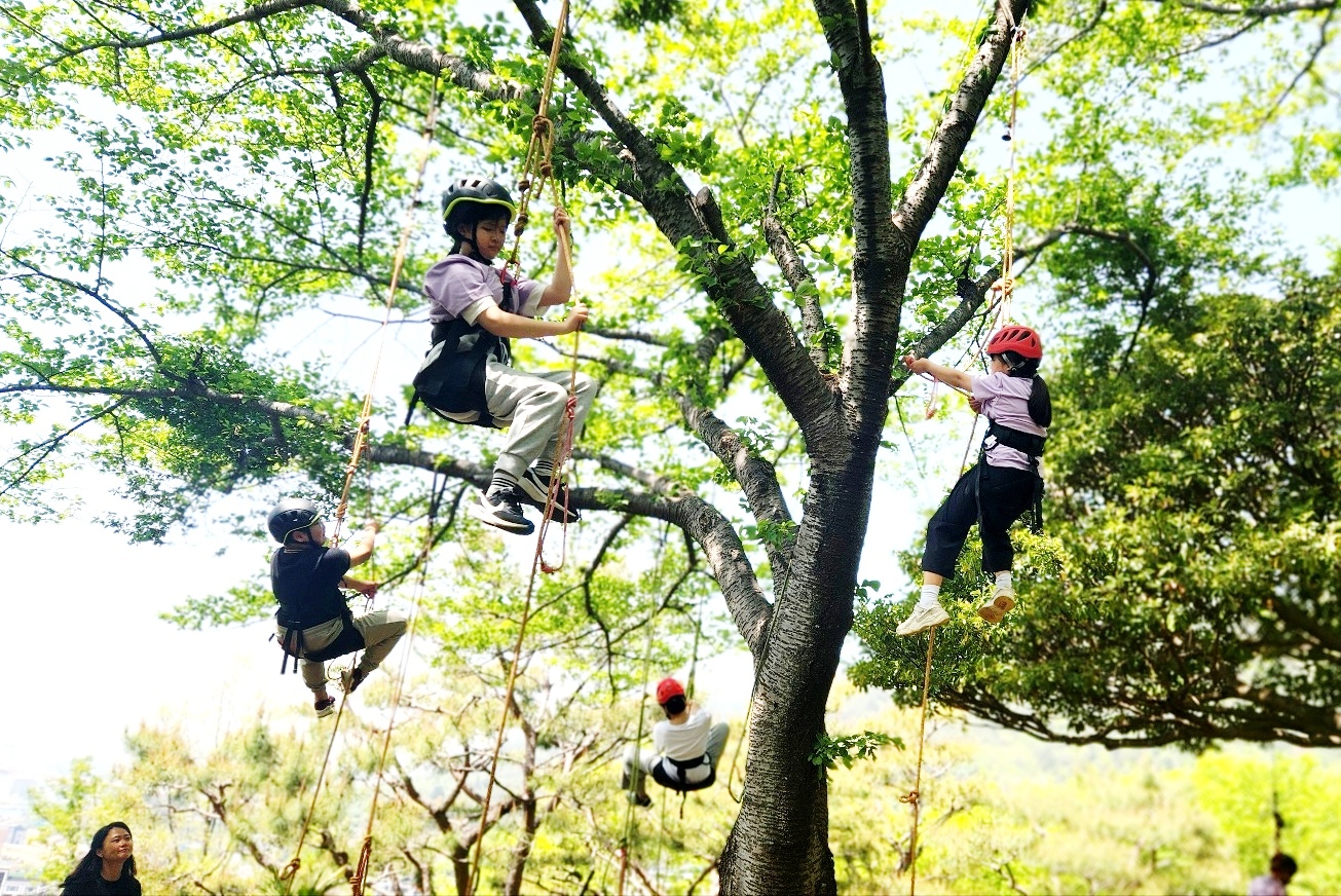 대방초, 나무야, 나무야! 놀이터가 되어줘 고마워! - 관련이미지2