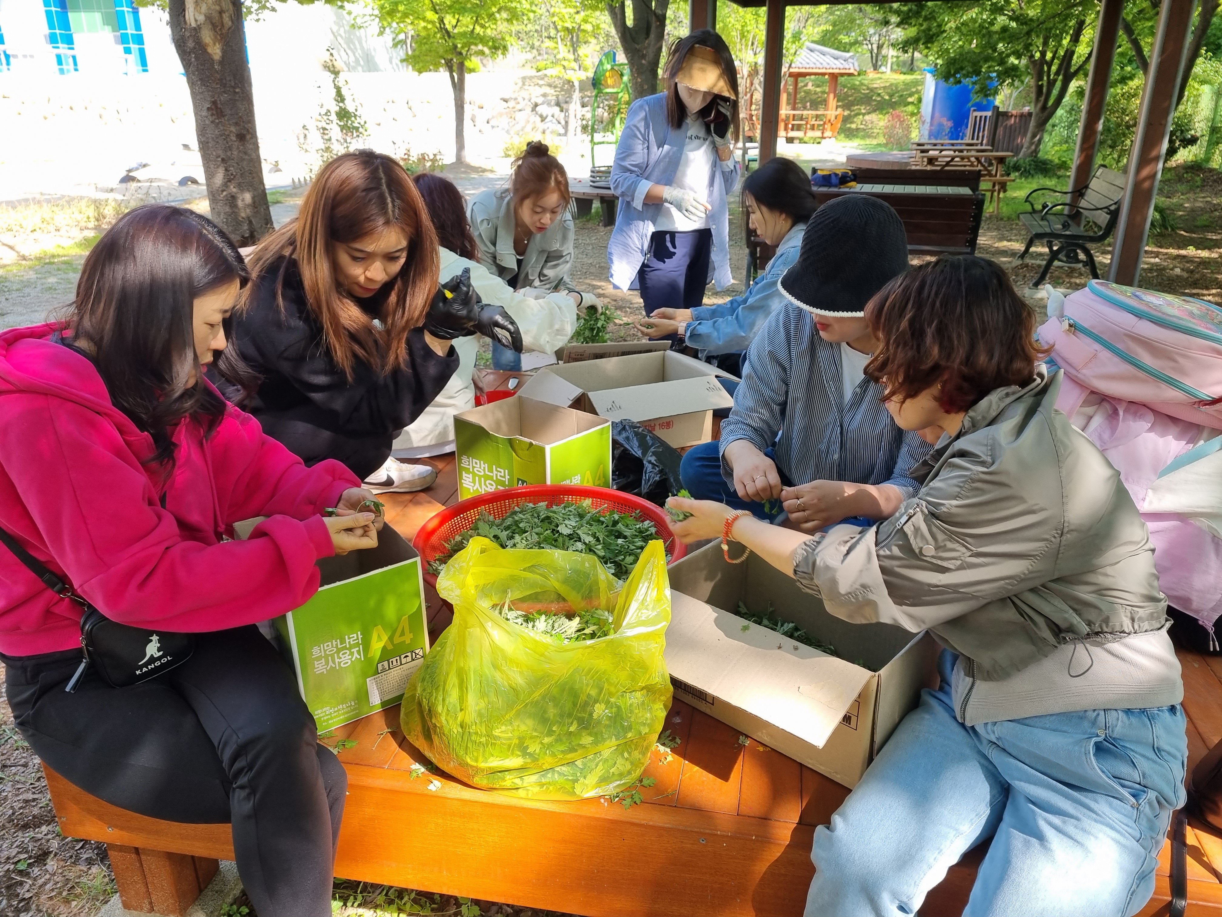쑥으로 사회적경제교육 나눔 행사 펼치다 - 관련이미지2