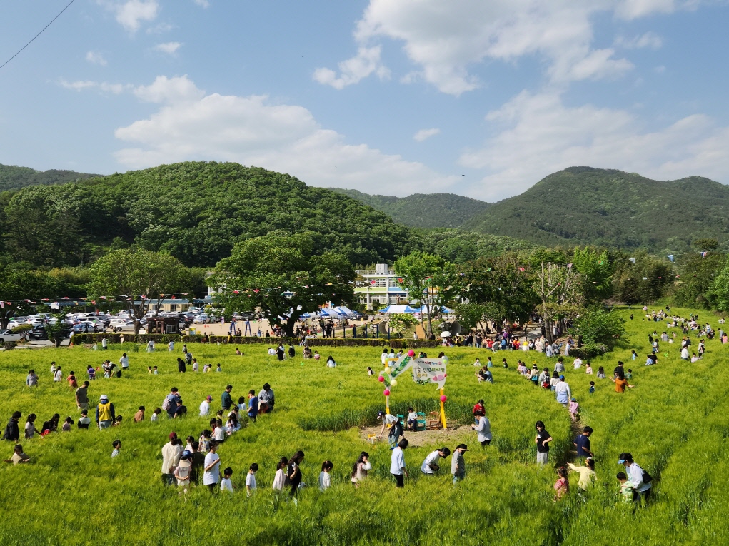 숭진초, 2023. 밀양 숭진초 청보리밭 축제 성황리에 마쳐 - 관련이미지1