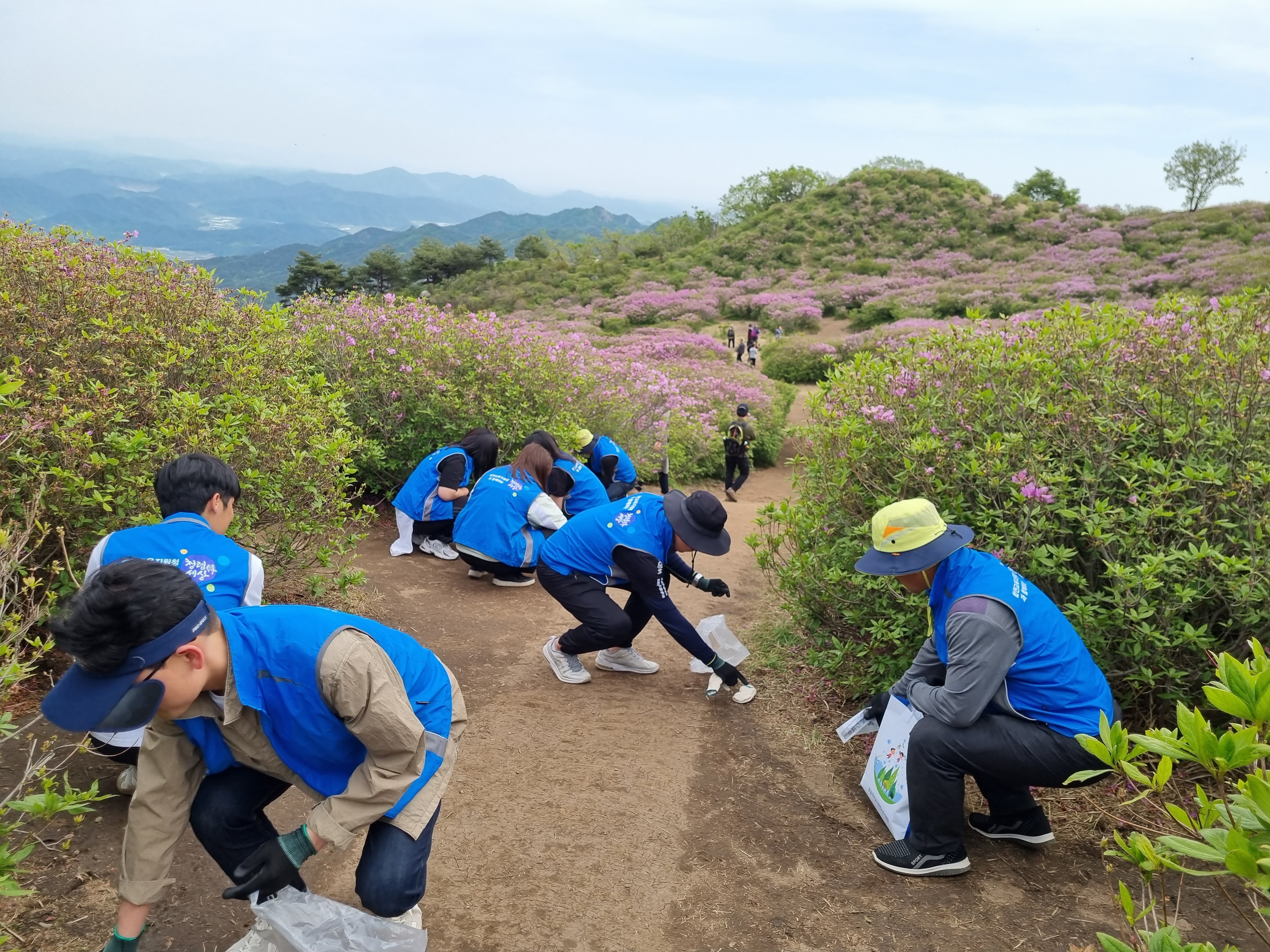 합천교육지원청, 심고 줍고 2배로 청렴해! - 관련이미지2